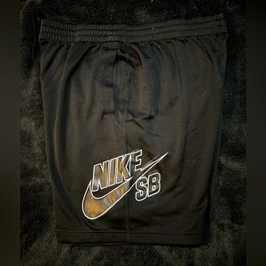 Nike SB shorts